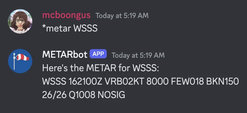 metar bot trial for Changi airport